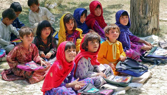 官方认证的ddos攻击ip软件下载