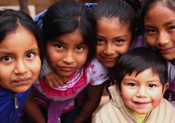 在线DDOS攻击平台